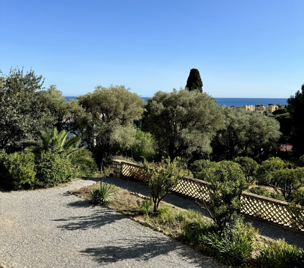 Renoir terrace