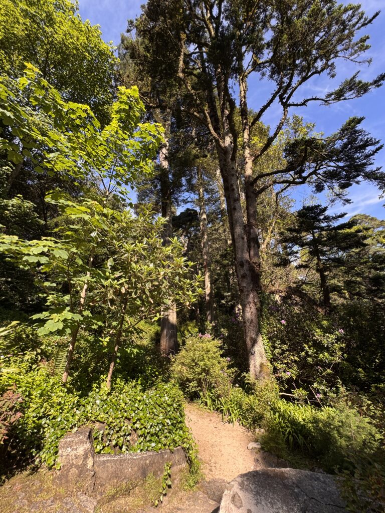 Pena garden