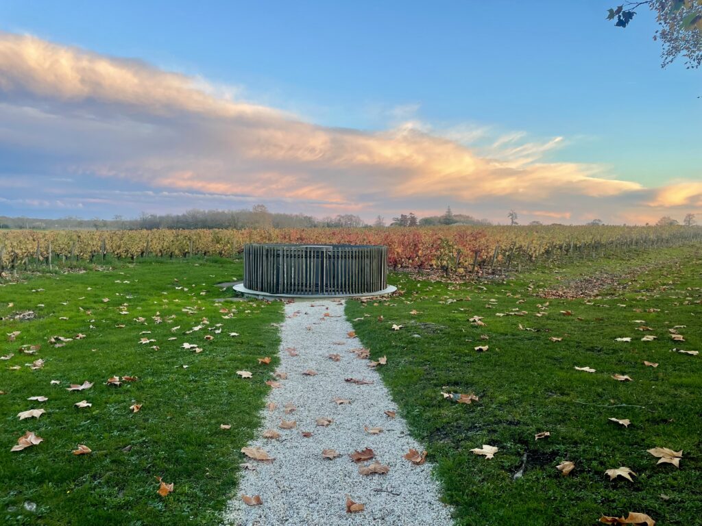 Margaux vineyard